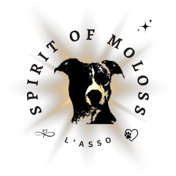 Spirit of Moloss